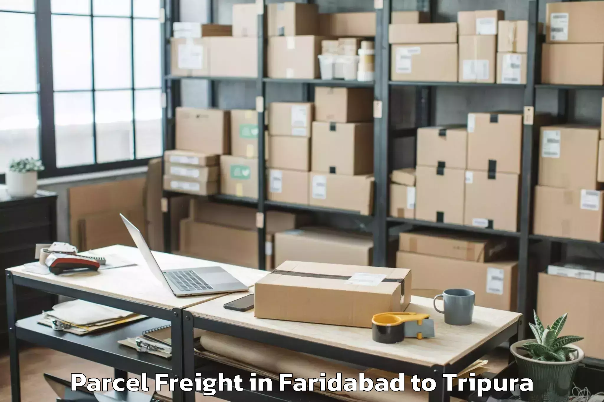 Affordable Faridabad to Panisagar Parcel Freight